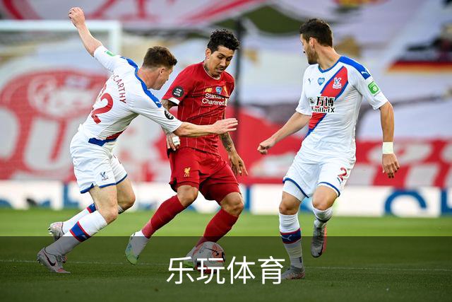 乐玩体育公司简介